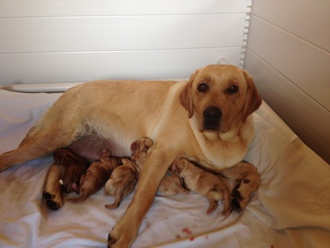 Artikelbilder: 08-6_rden-pause_480_x_360.jpg