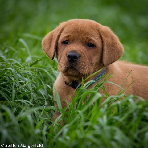 Artikelbilder: 324-flash-03112012_480_x_480.jpg Artikelbilder: 324-flash-03112012_480_x_480.jpg