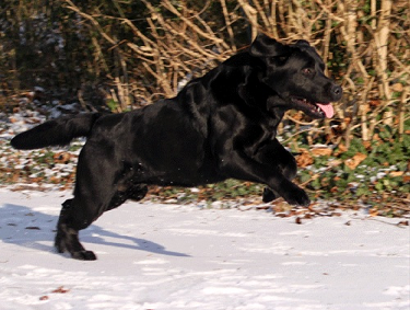 Artikelbilder: 4-tequilla-april-2010-klein-24.png Artikelbilder: 4-tequilla-april-2010-klein-24.png