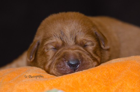 Artikelbilder: 63-flash-23092012_450_x_298.jpg