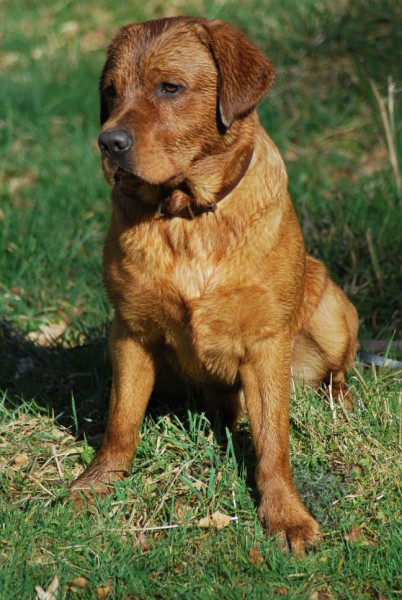 Artikelbilder: dsc_6651_402_x_600.jpg Artikelbilder: dsc_6651_402_x_600.jpg