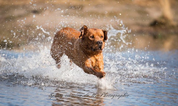 Artikelbilder: flash-wasser_600_x_359.jpg Artikelbilder: flash-wasser_600_x_359.jpg