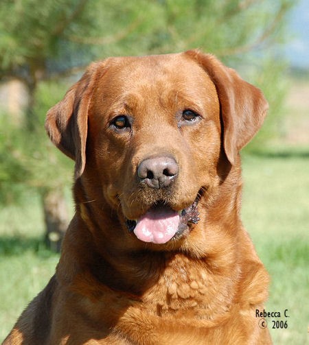 Artikelbilder: kelleygreenscrimsontide-ii-1-kopf_450_x_503.jpg Artikelbilder: kelleygreenscrimsontide-ii-1-kopf_450_x_503.jpg