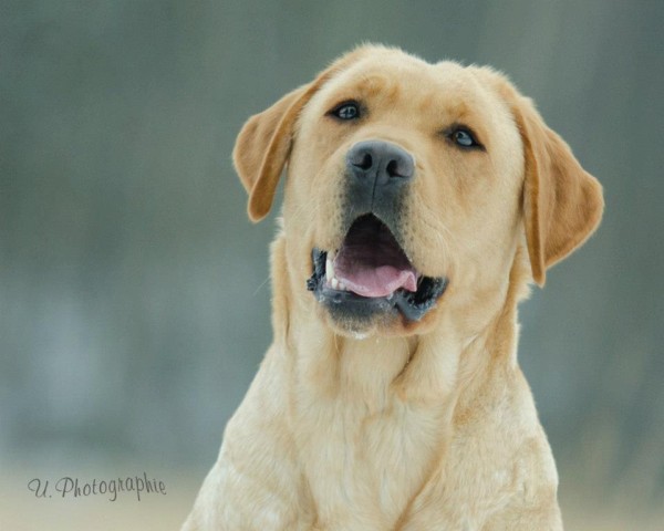 Artikelbilder: megan-kopf600_x_480.jpg Artikelbilder: megan-kopf600_x_480.jpg