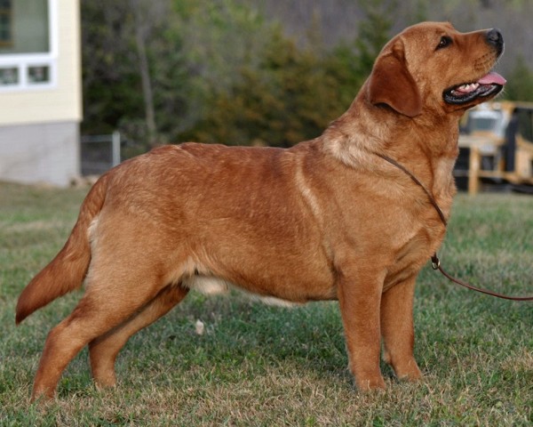 Artikelbilder: turner-stehend600_x_480.jpg Artikelbilder: turner-stehend600_x_480.jpg