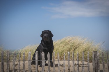 Artikelbilder: upk_1594-1b_375_x_250.jpg Artikelbilder: upk_1594-1b_375_x_250.jpg