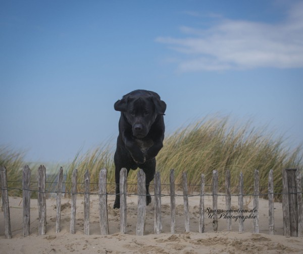 Artikelbilder: upk_1611-1b_600_x_503.jpg Artikelbilder: upk_1611-1b_600_x_503.jpg