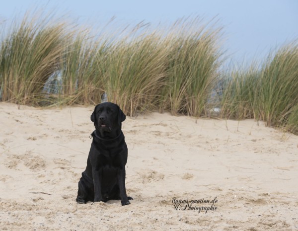 Artikelbilder: upk_1703-1b_600_x_465.jpg Artikelbilder: upk_1703-1b_600_x_465.jpg