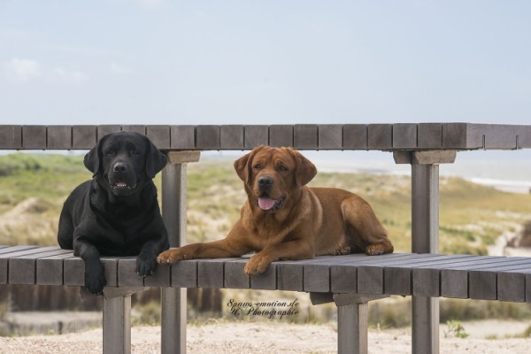 Artikelbilder: upk_1730-1fb_600_x_400.jpg Artikelbilder: upk_1730-1fb_600_x_400.jpg