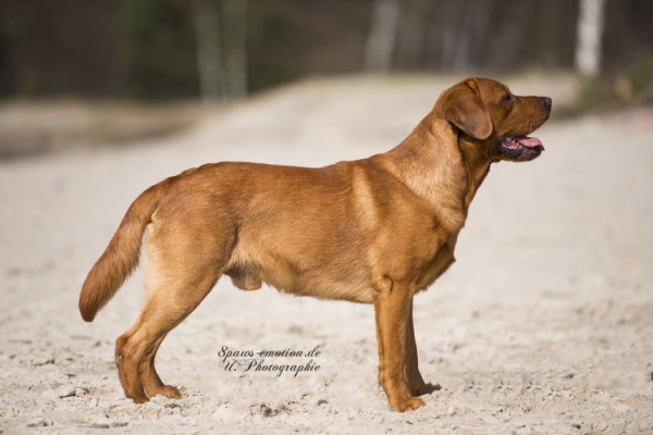 Artikelbilder: upk_6386-2f_600_x_400.jpg Artikelbilder: upk_6386-2f_600_x_400.jpg