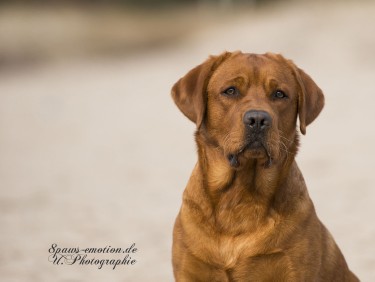 Artikelbilder: upk_6454-2f_375_x_282.jpg Artikelbilder: upk_6454-2f_375_x_282.jpg