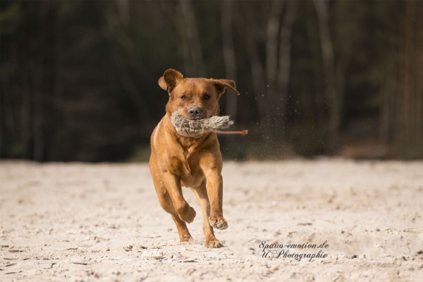 Artikelbilder: upk_6496-2f_600_x_400.jpg Artikelbilder: upk_6496-2f_600_x_400.jpg