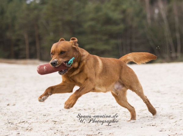 Artikelbilder: upk_6512-2f_600_x_448.jpg Artikelbilder: upk_6512-2f_600_x_448.jpg