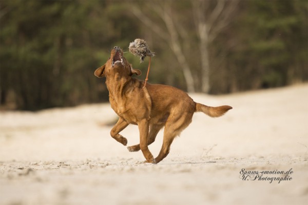 Artikelbilder: upk_6572-2f_600_x_400.jpg Artikelbilder: upk_6572-2f_600_x_400.jpg