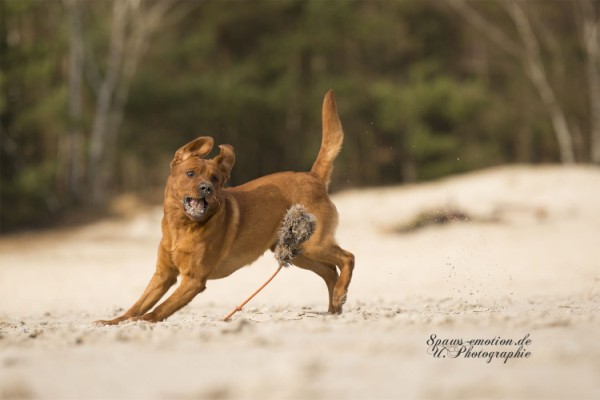 Artikelbilder: upk_6573-2f_600_x_400.jpg Artikelbilder: upk_6573-2f_600_x_400.jpg