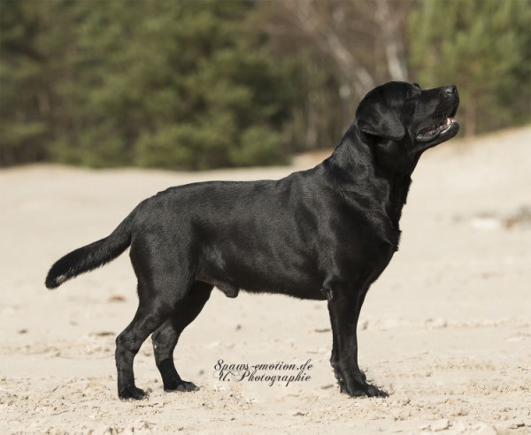 Artikelbilder: upk_6633-2b_600_x_492.jpg Artikelbilder: upk_6633-2b_600_x_492.jpg