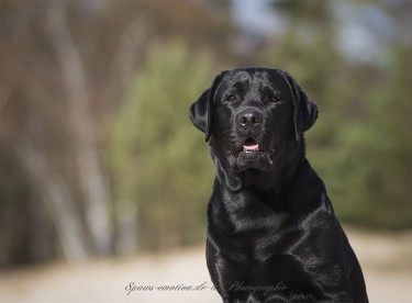 Artikelbilder: upk_6710-2b_375_x_276.jpg Artikelbilder: upk_6710-2b_375_x_276.jpg