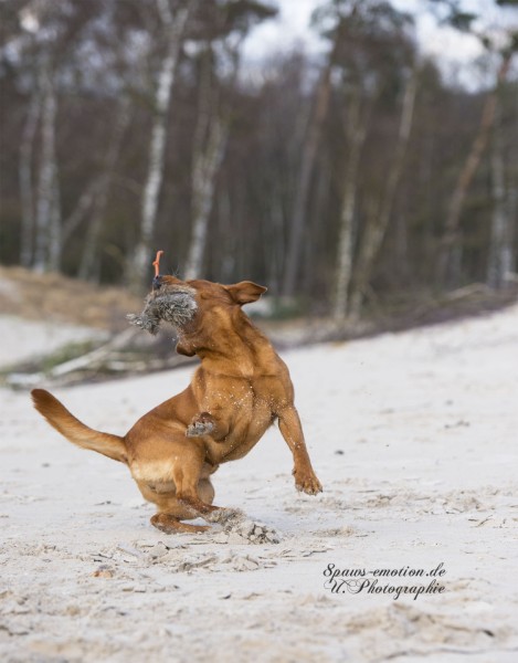 Artikelbilder: upk_6768-2f_469_x_600.jpg Artikelbilder: upk_6768-2f_469_x_600.jpg