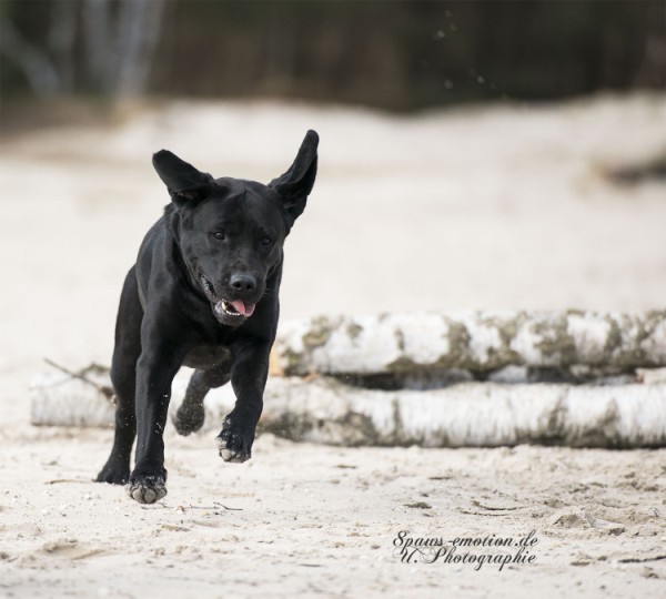 Artikelbilder: upk_6901-2b_600_x_540.jpg Artikelbilder: upk_6901-2b_600_x_540.jpg