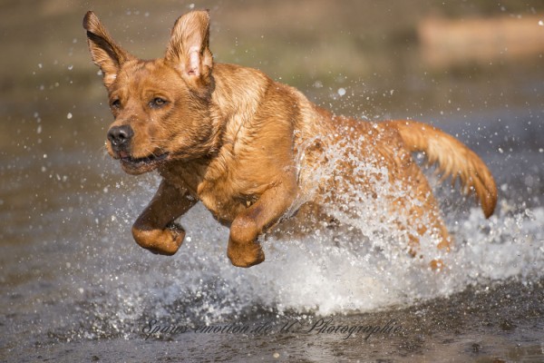 Artikelbilder: upk_7081-2-2f_600_x_400.jpg Artikelbilder: upk_7081-2-2f_600_x_400.jpg