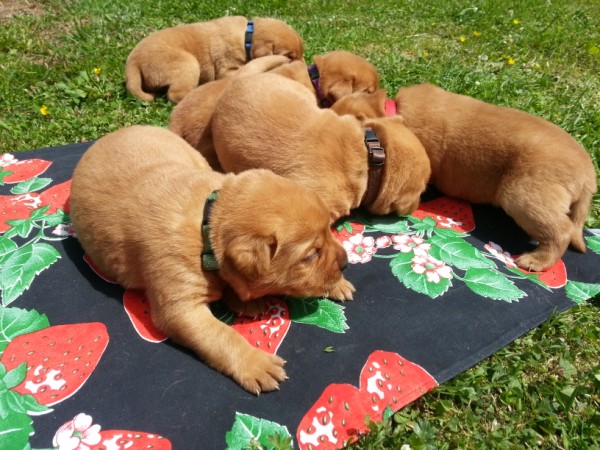 Hauptbilder: babys16_600_x_450.jpg