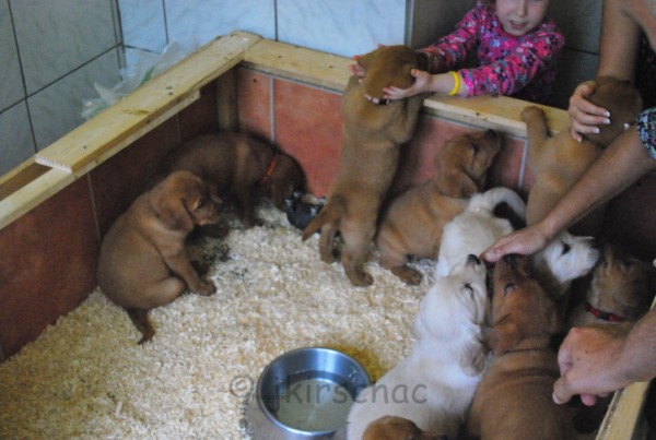 Hauptbilder: babys22_600_x_403.jpg