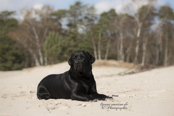 Hauptbilder: upk_6677-2b_600_x_400.jpg Hauptbilder: upk_6677-2b_600_x_400.jpg